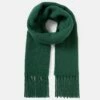 Alpaca Blend Fringed Scarf | Green